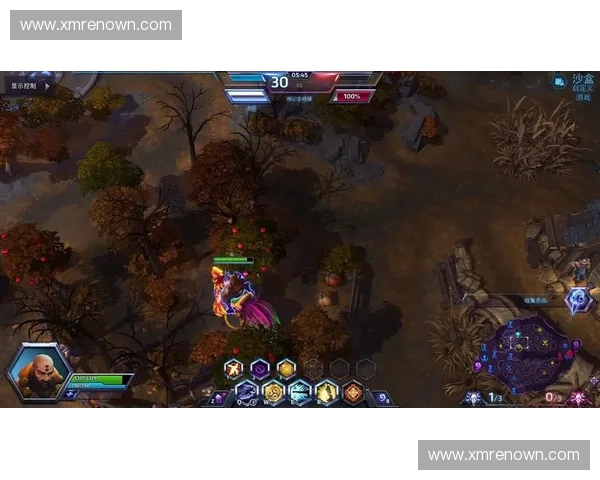 围绕风暴英雄关服带来玩家情感与社区变迁的深度观察全景解读篇章